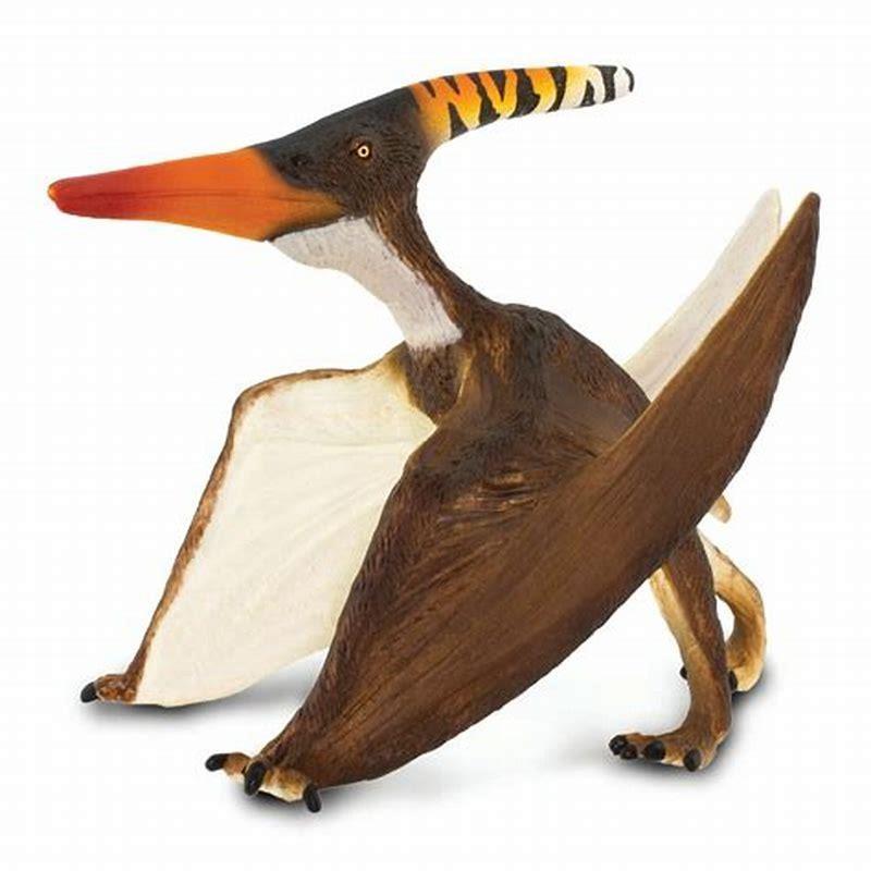 How did Pteranodon eat?