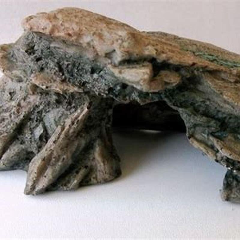 How do you disinfect a reptile rock? DIY Seattle