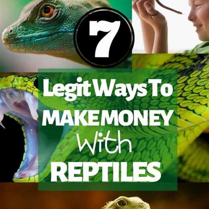 how-do-you-make-money-from-reptiles-diy-seattle