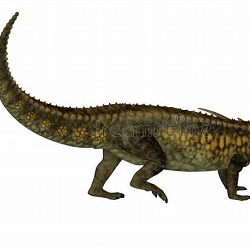 Is Placodus a dinosaur?
