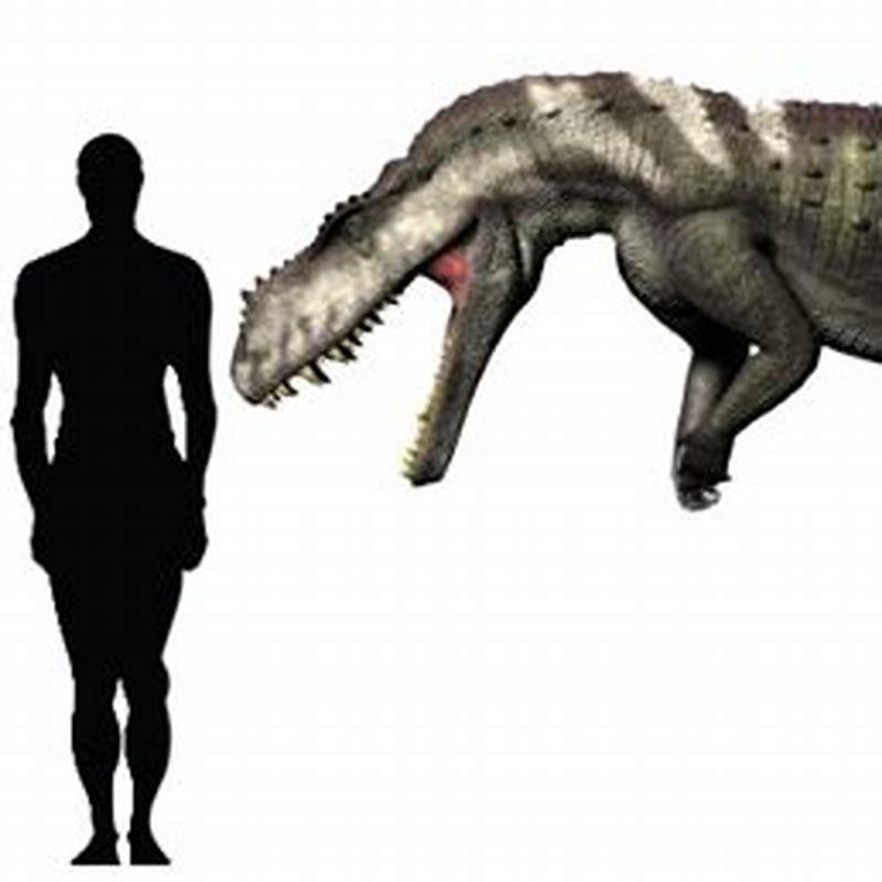 Is Prestosuchus a crocodile?