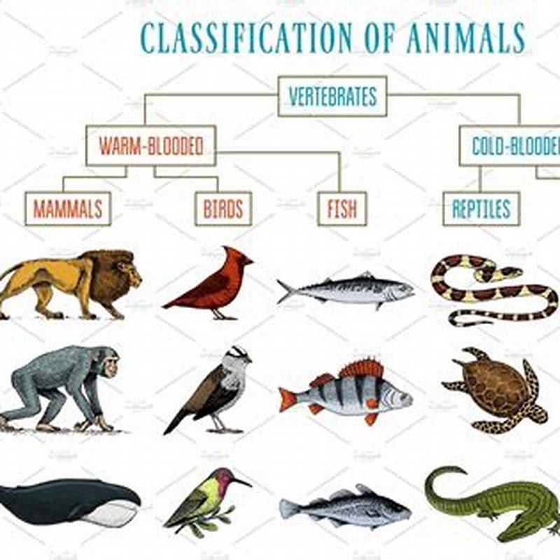 Why do reptiles have scales? - DIY Seattle