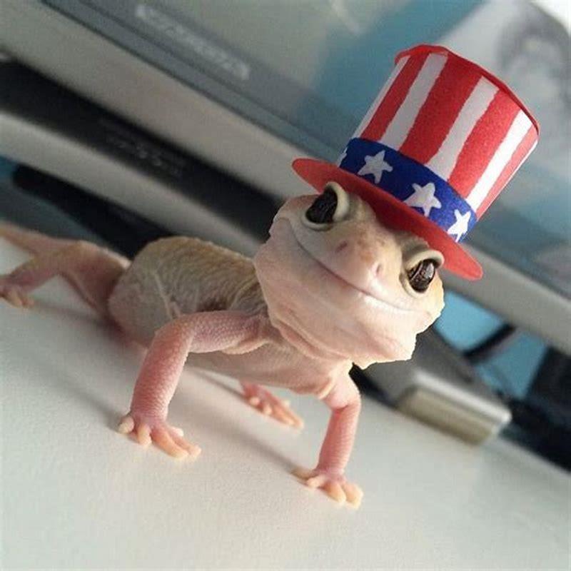 What is a good reptile for a kid?