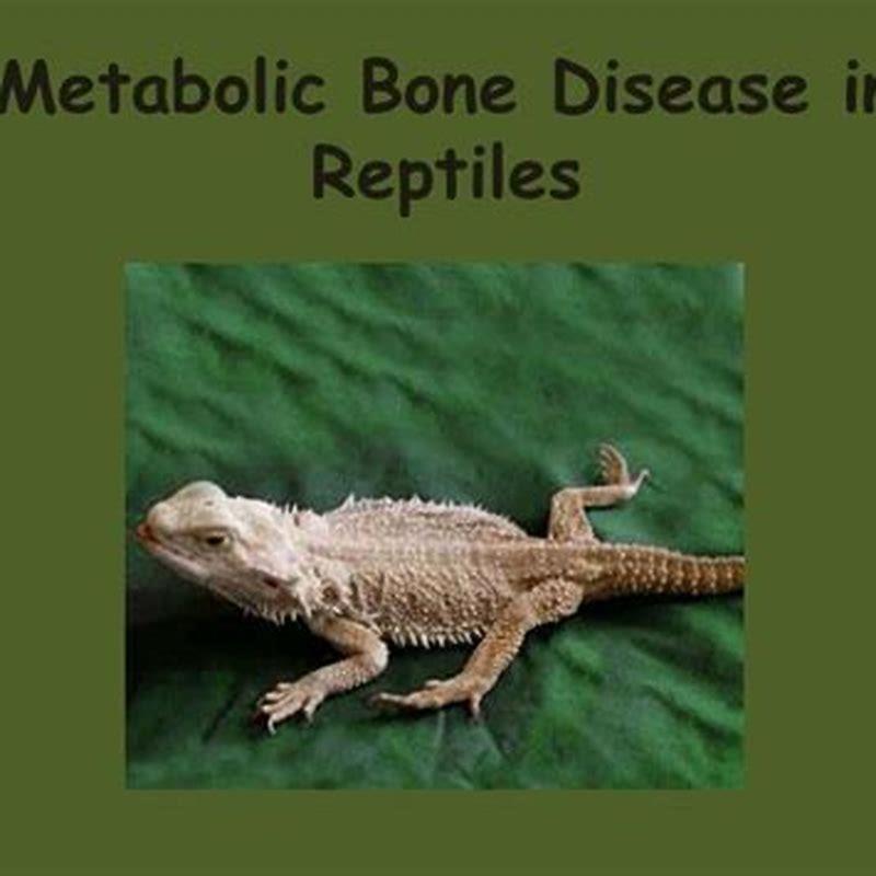 What is an example of a metabolic bone disease? - DIY Seattle