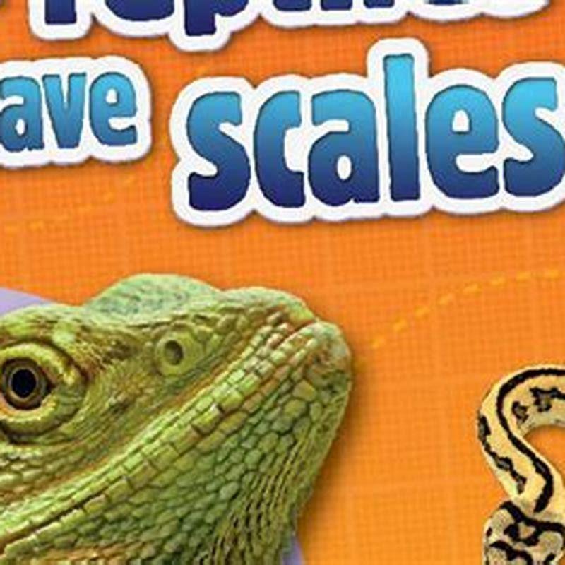 Why do reptiles have scales? - DIY Seattle