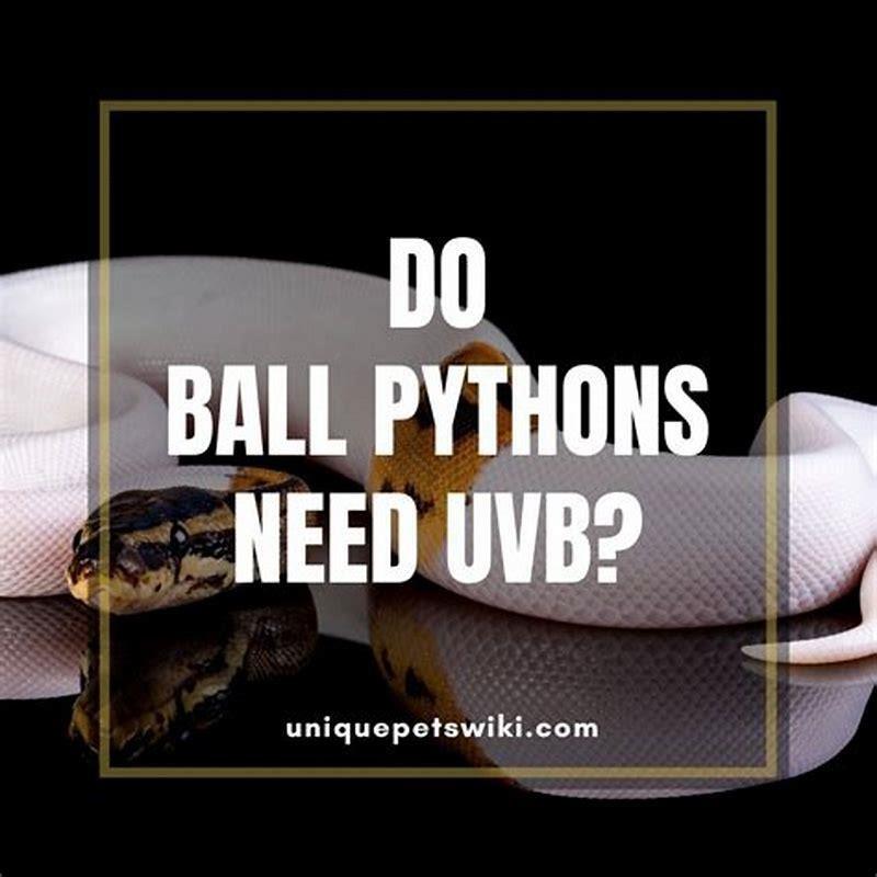 Why do some reptiles need UVB?
