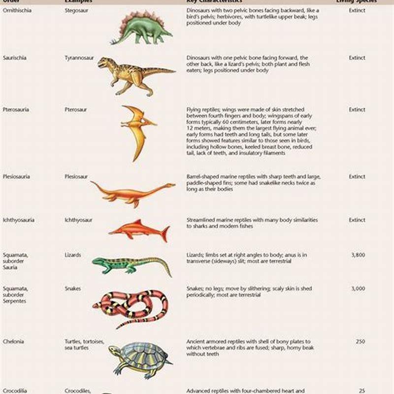 What is the history of reptiles?