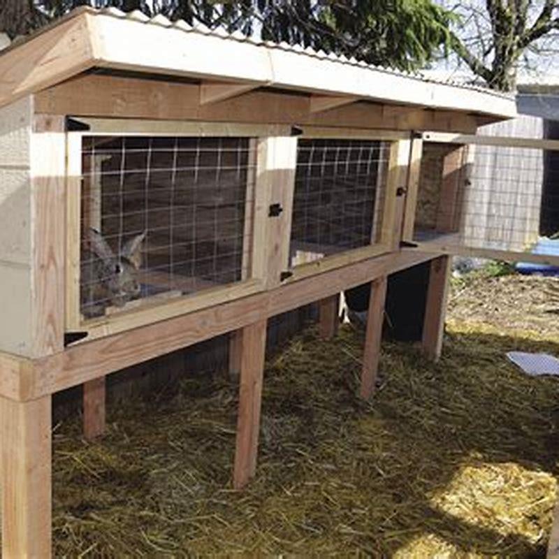 How much does it cost to build a rabbit hutch?