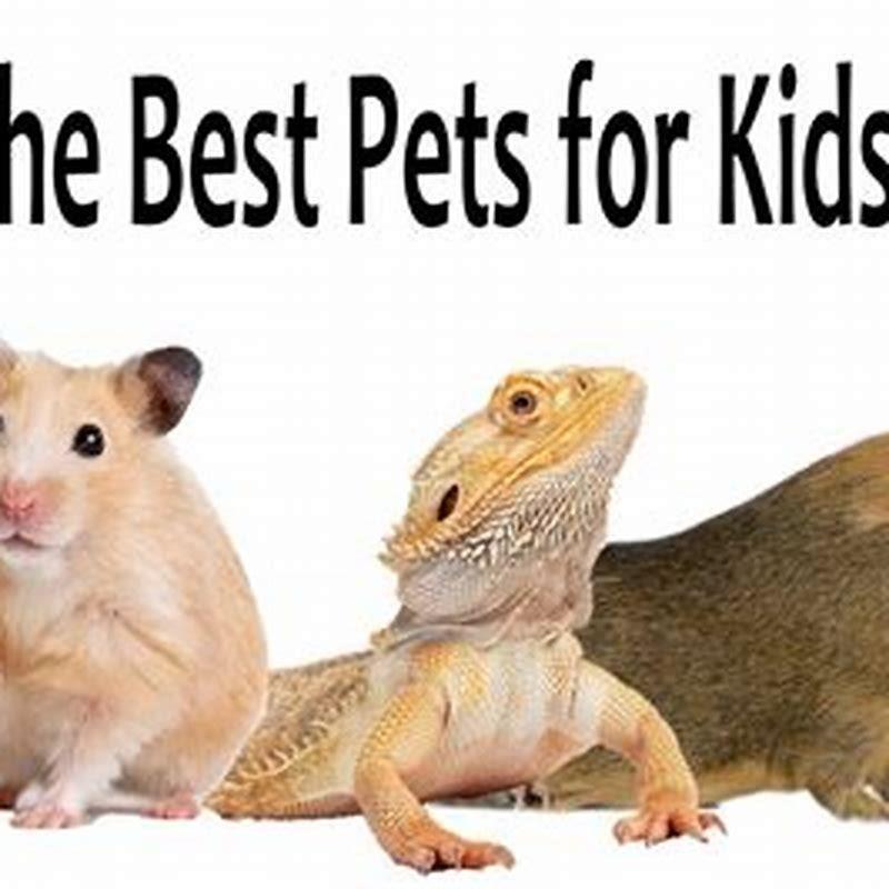 What is the best starter exotic pet? - DIY Seattle